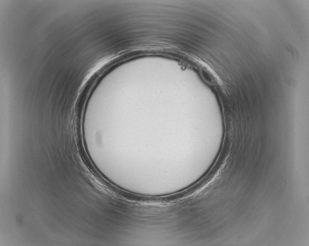 X0000115761114200912041405