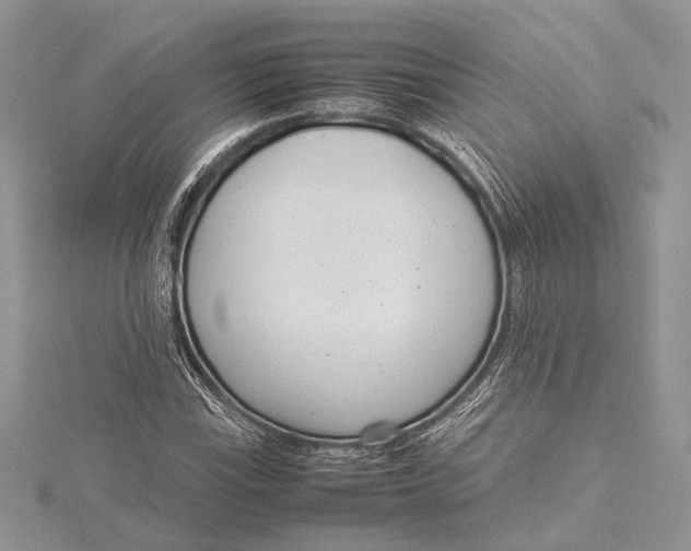 X0000115761115200912041405