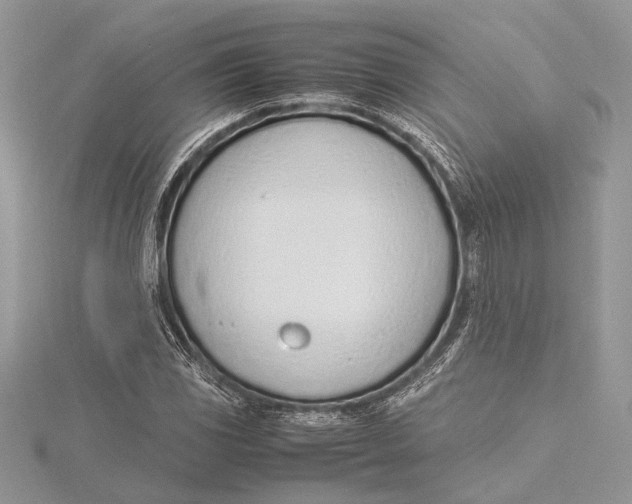 X0000115761117200912041405