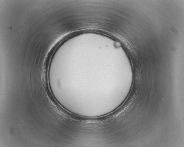 X0000115761118200912041405