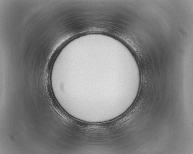 X0000115761119200912041405