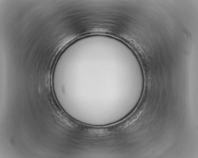 X0000115761121200912041405