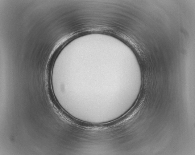 X0000115761122200912041405