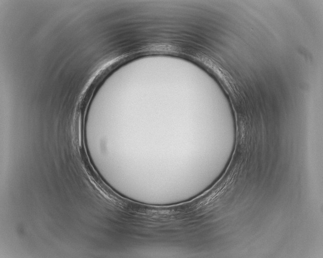 X0000115761123200912041405