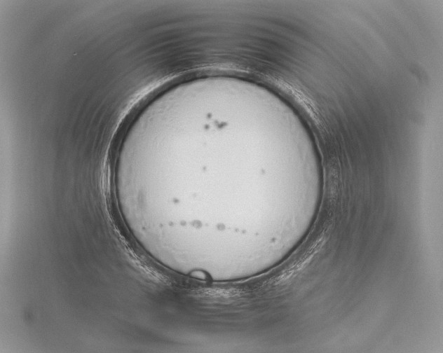 X0000115761125200912041405