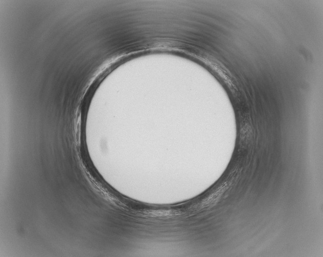 X0000115761126200912041405