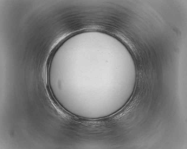 X0000115761127200912041405