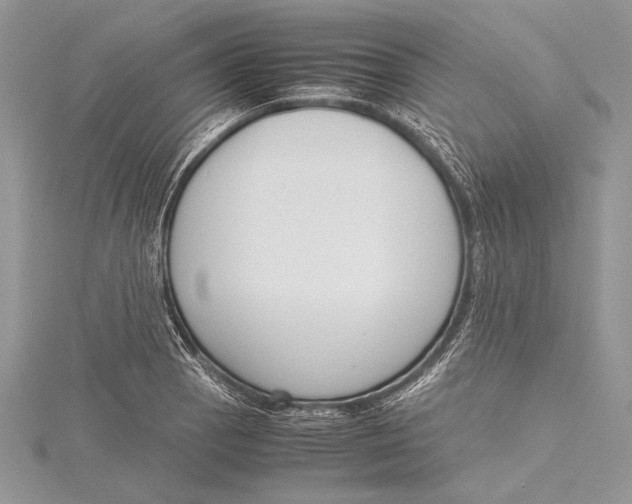 X0000115761129200912041405