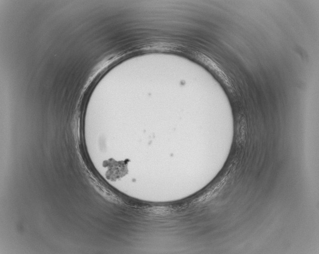 X0000115761130200912041405