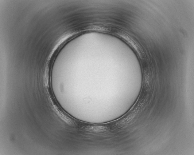 X0000115761131200912041405