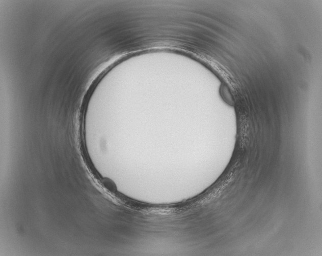 X0000115761134200912041405