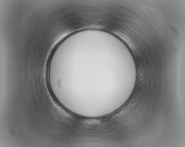 X0000115761135200912041405