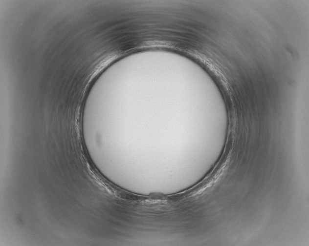 X0000115761137200912041405