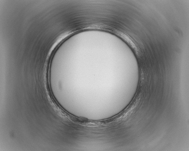 X0000115761138200912041405