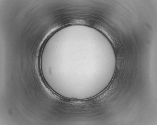 X0000115761139200912041405