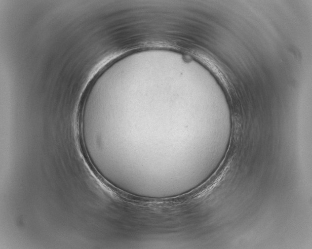 X0000115761141200912041405