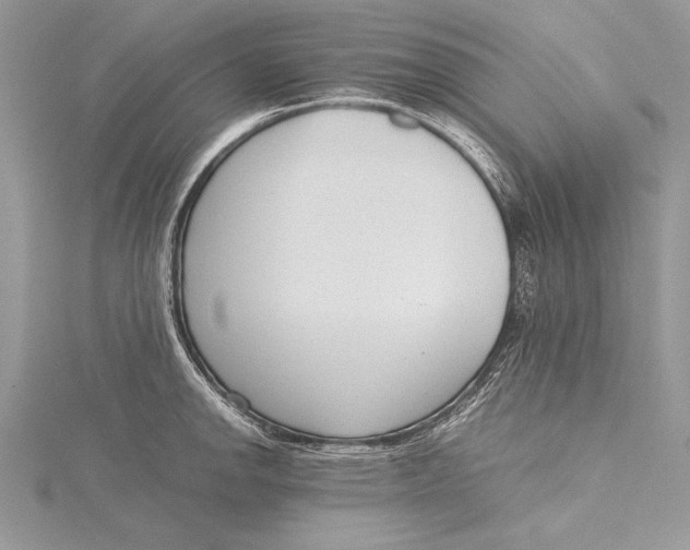 X0000115761142200912041405