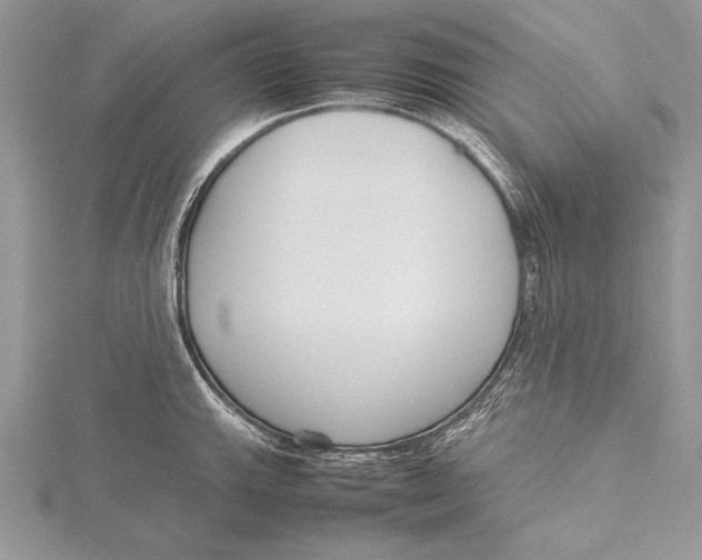 X0000115761143200912041405