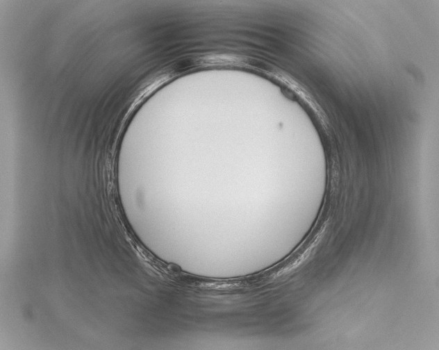 X0000115761145200912041405