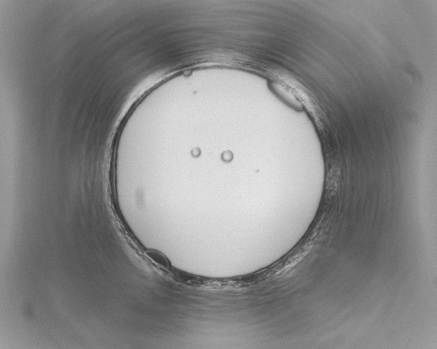 X0000115761146200912041405