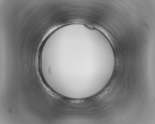 X0000115761147200912041405