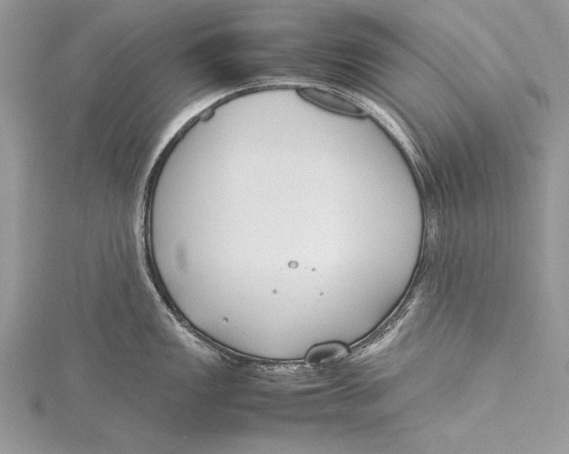 X0000115761149200912041405