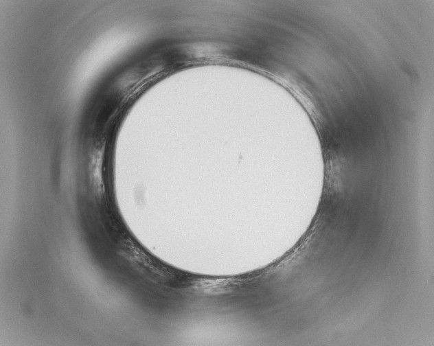 X0000115761150200912041405