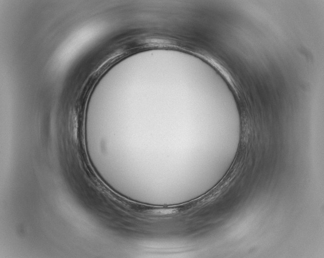 X0000115761151200912041405