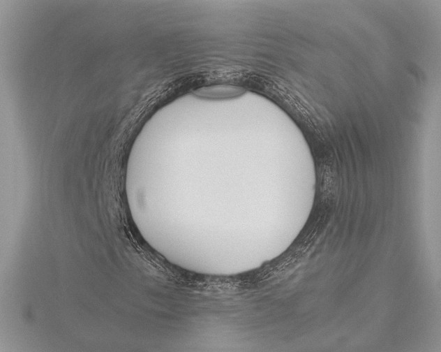 X0000115761153200912041404