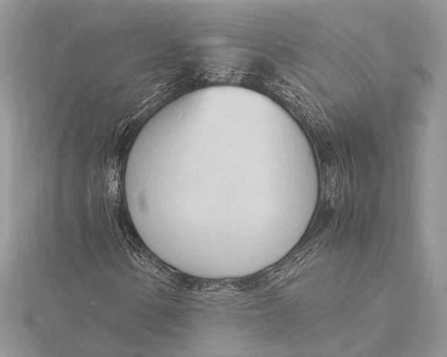 X0000115761154200912041404