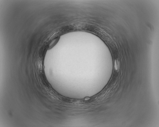 X0000115761155200912041404