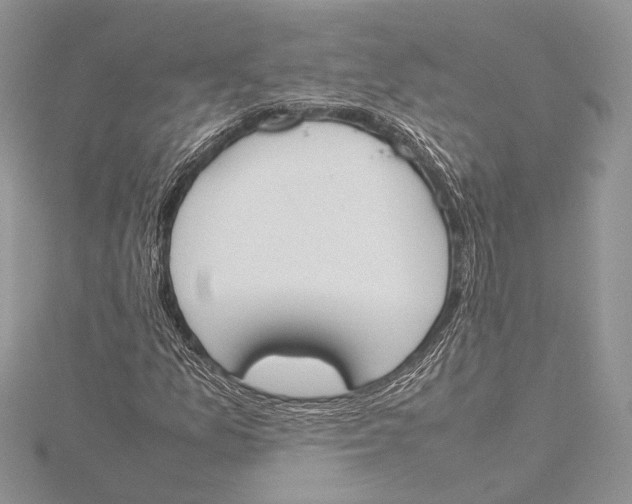 X0000115761157200912041404