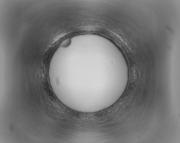 X0000115761158200912041404