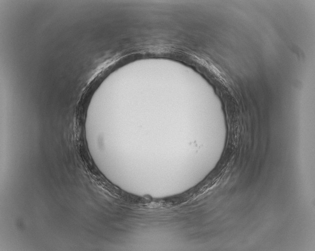 X0000115761160200912041404