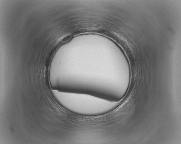 X0000115761161200912041404