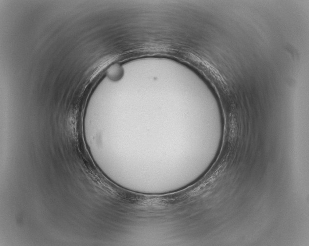 X0000115761162200912041404