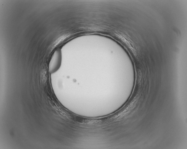 X0000115761163200912041404