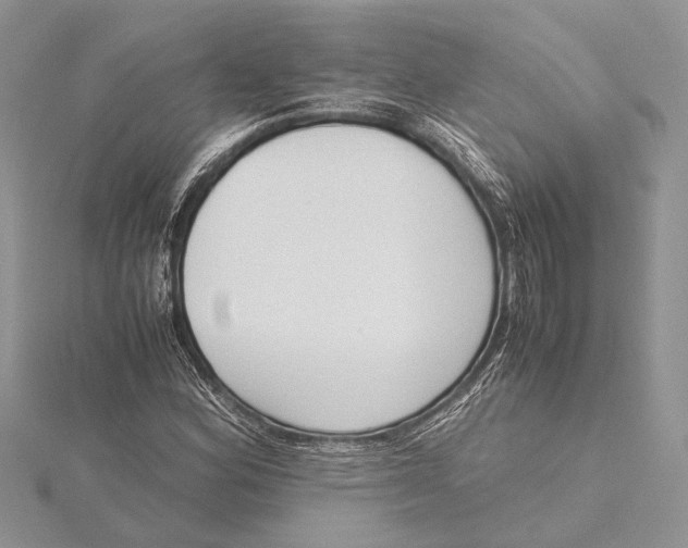 X0000115761164200912041404