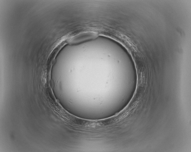 X0000115761165200912041404