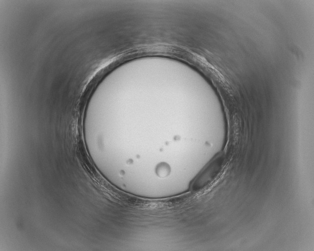 X0000115761166200912041404