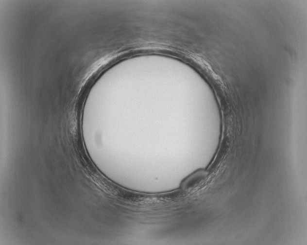 X0000115761167200912041404