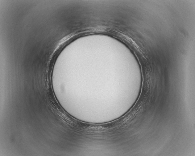 X0000115761168200912041404