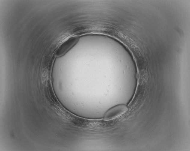 X0000115761169200912041404