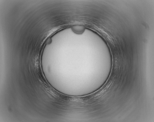 X0000115761170200912041404