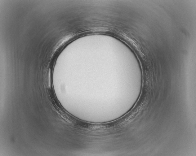 X0000115761171200912041404