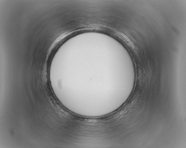 X0000115761172200912041404