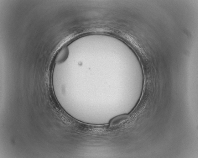 X0000115761173200912041404