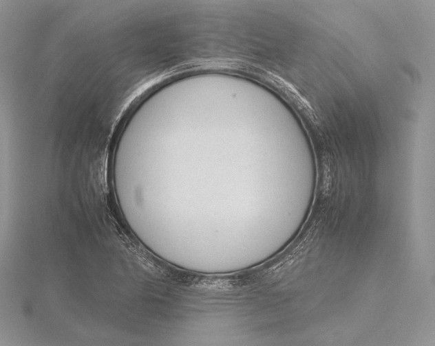 X0000115761174200912041404