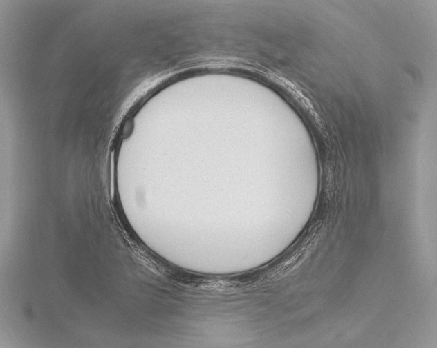 X0000115761175200912041404