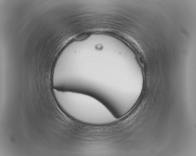 X0000115761177200912041404